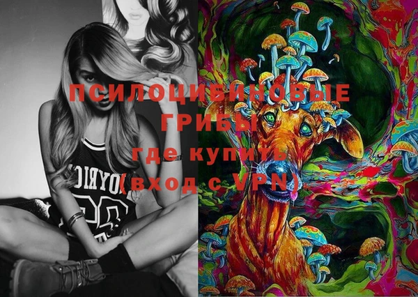 прущие грибы Вязьма