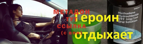 прущие грибы Вязьма