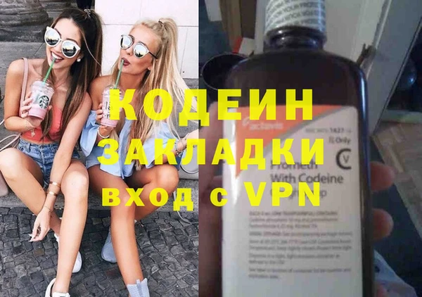 прущие грибы Вязьма