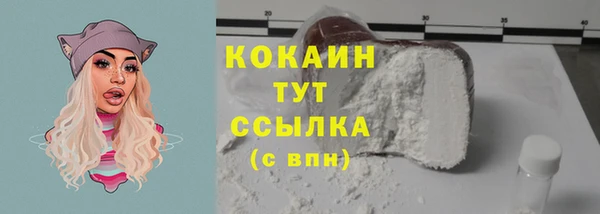 шишки Вязники
