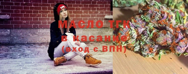 прущие грибы Вязьма