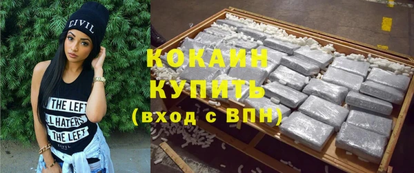 прущие грибы Вязьма