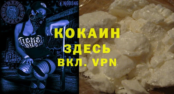 прущие грибы Вязьма