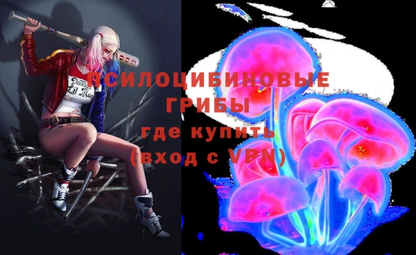 шишки Вязники