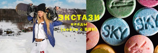 прущие грибы Вязьма