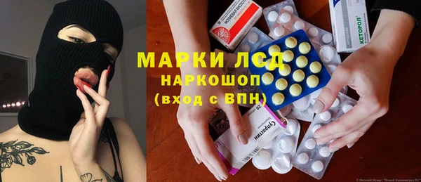 прущие грибы Вязьма