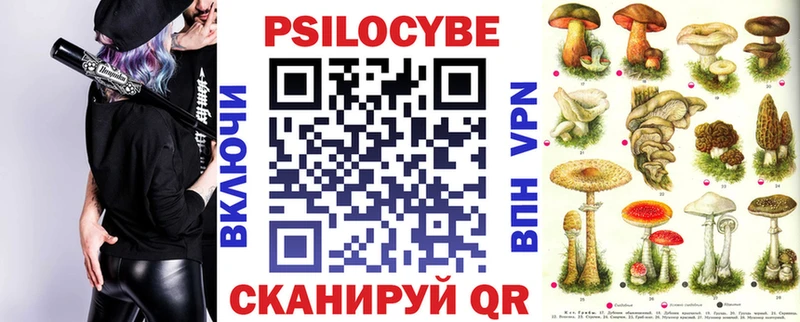 Галлюциногенные грибы Psilocybine cubensis Купить где Тарко-Сале